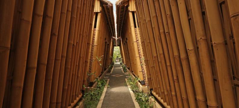 瓦曼度假村(Vamana Resort)图片