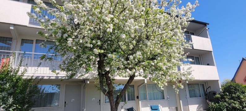 坎佩尔南布里特酒店(Brit Hotel Quimper Sud)图片