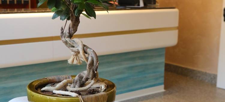 特尔梅大酒店(Grand Hotel Terme)图片