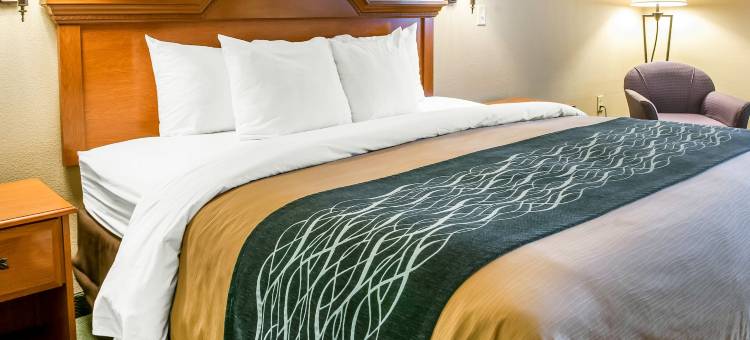拉斯克鲁塞斯梅斯拉舒适套房酒店(Comfort Inn & Suites Las Cruces Mesilla)图片