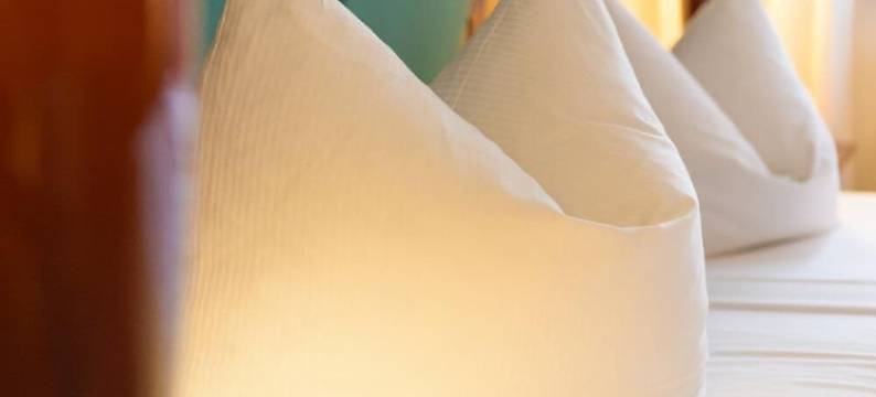 阿姆希特老城酒店(Altstadthotel am Theater)图片