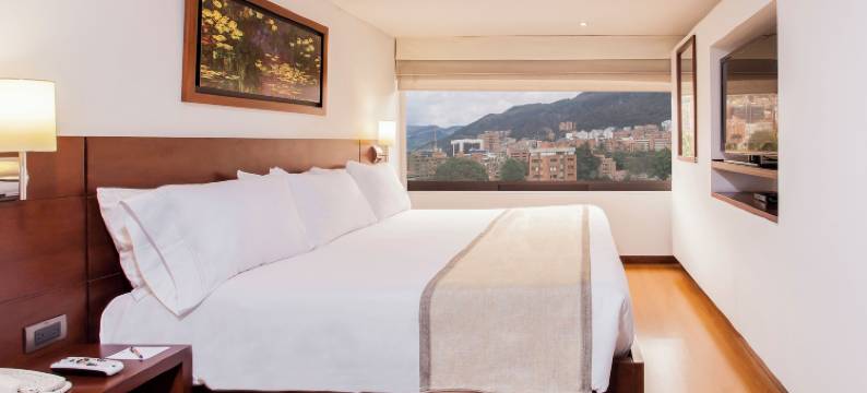 丽筠波哥大都会酒店(Radisson Bogota Metrotel)图片