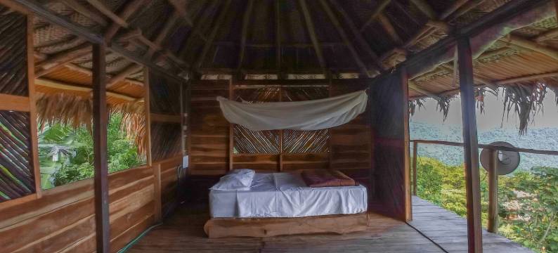 Taorayiná 自然保护区(Taorayiná nature reserve)图片