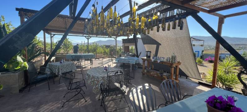 圣特拉，瓜达卢佩谷(Santerra, Guadalupe Valley)图片