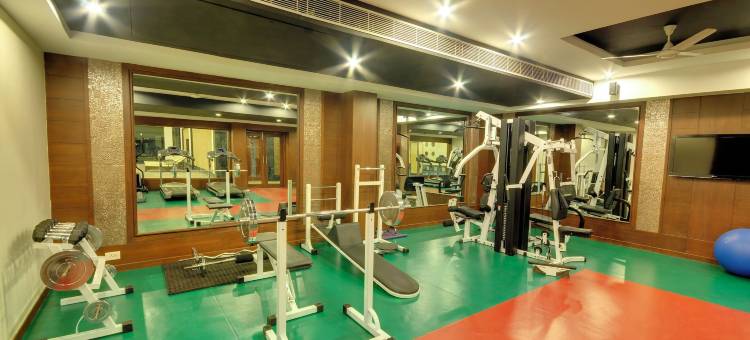 凯拉什国际酒店(Hotel Kailash International)图片