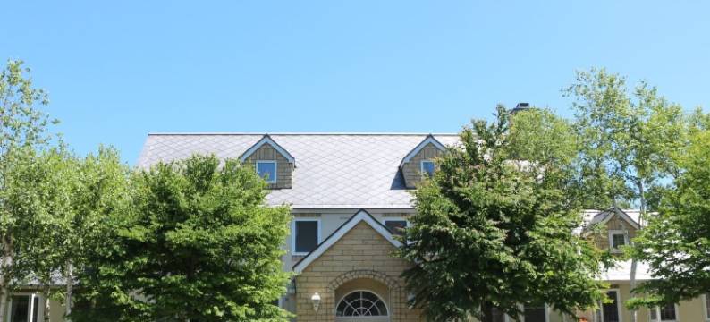 阿拉瓦卡(Aara Wakka)图片