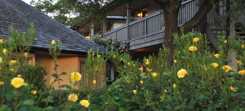 葡萄园江山旅馆(Vineyard Country Inn)图片