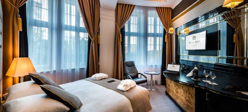 达纳商务与会议酒店(Hotel Dana Business & Conference)图片