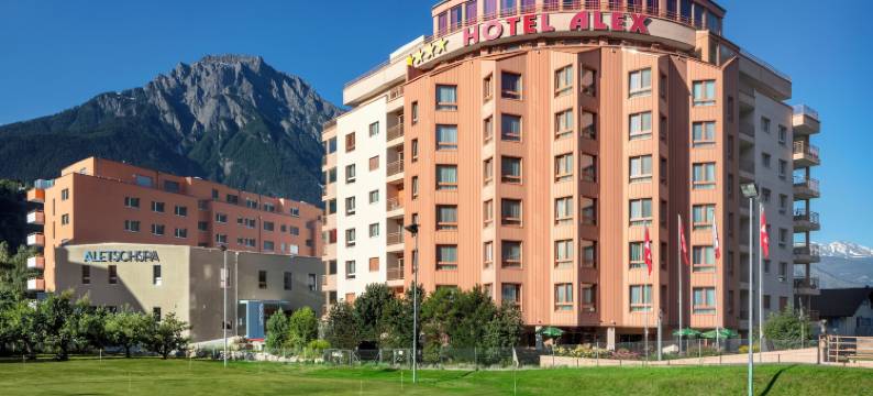 阿莱士商务及Spa酒店(Hotel Alex Business & Spa)图片