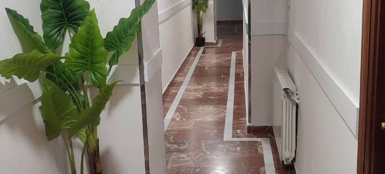 奈福特旅馆(Hostal Nevot)图片