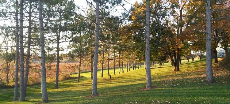 夏恩阿克里斯乡村旅馆(Shane Acres Country Inn)图片