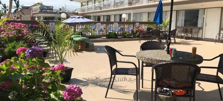 金字塔度假汽车旅馆(Pyramid Resort Motel)图片