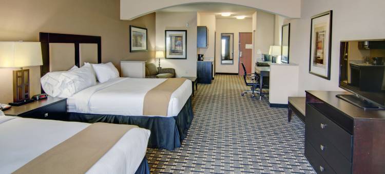 智选假日套房酒店帕里斯by IHG(Holiday Inn Express & Suites Paris)图片