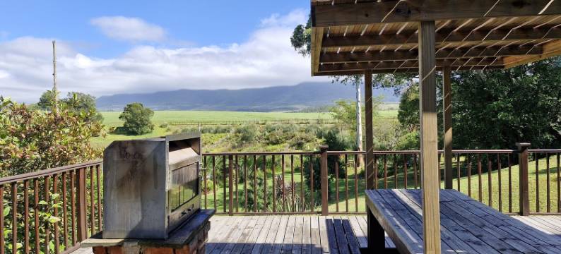 宜必思广场宾旅馆(Ibis Place Guest House)图片