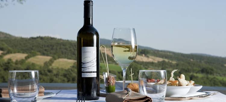 特努塔庞齐亚尼 - 格里芬度假村(Tenuta Ponziani Wine Resort)图片