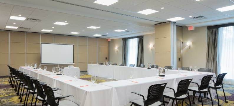 芝加哥西南布尔里奇皇冠假日酒店(Crowne Plaza CHICAGO SW - BURR RIDGE by IHG)图片