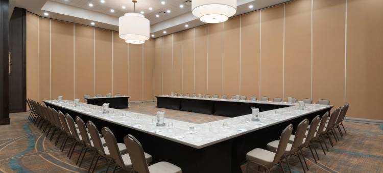 芝加哥内帕维希尔顿安泊酒店(Embassy Suites by Hilton Chicago Naperville)图片