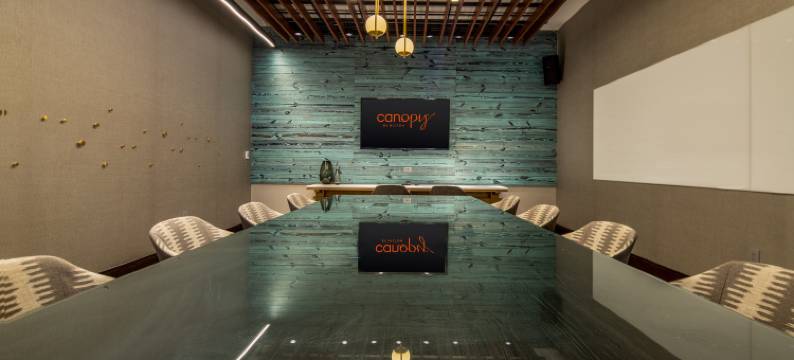 希尔顿嘉悦里孟菲斯市中心比尔街酒店(Canopy by Hilton Memphis Downtown Beale Street)图片