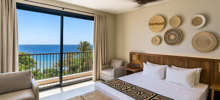 JAZ精英极光(JAZ Elite Aurora)图片