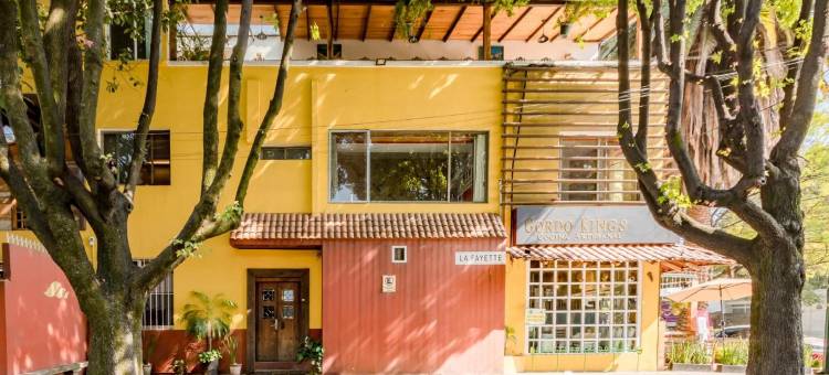 OYO安苏雷斯之家(OYO Casa Anzures Mexico City)图片