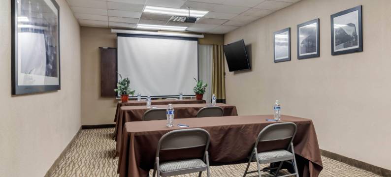 亚特兰大/斯麦纳舒适套房酒店(Comfort Inn & Suites Atlanta-Smyrna)图片