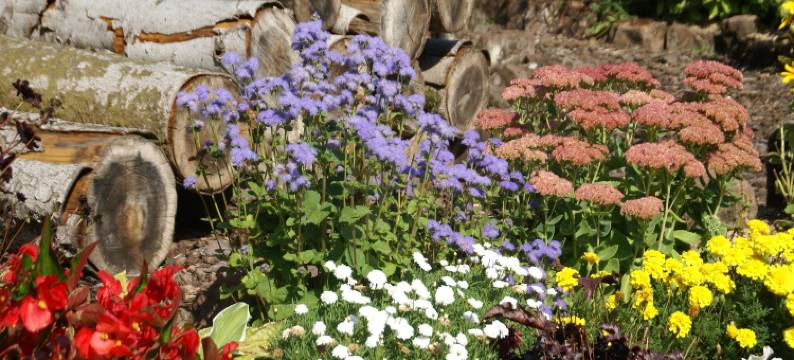 Nettancourt Family Stay图片