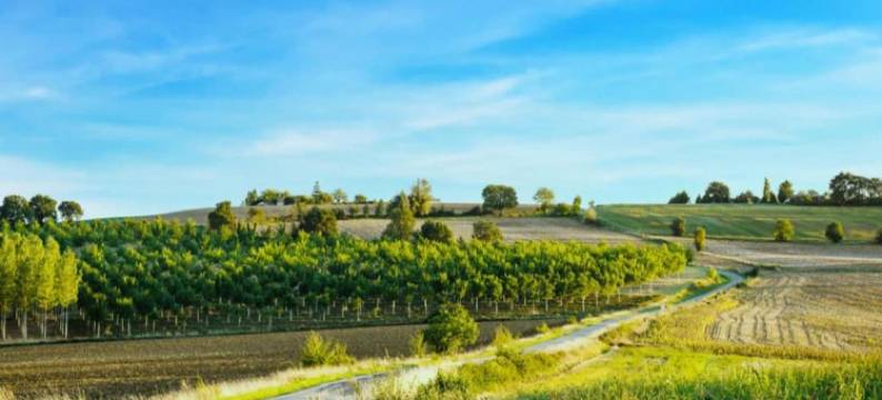 Oakwood Hideaway Stay图片