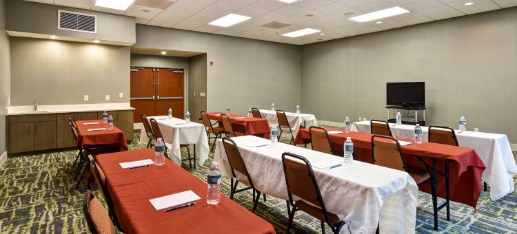 Homewood Suites by Hilton-奥卡拉(Homewood Suites by Hilton Ocala at Heath Brook)图片