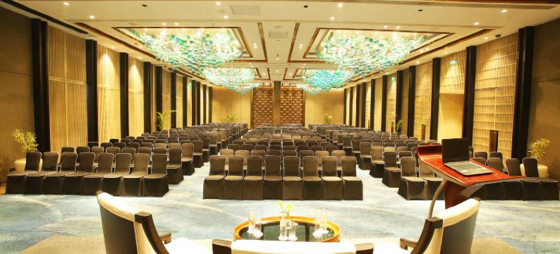 新德里玛玉尔豪尔诺伊达皇冠假日酒店(Crowne Plaza NEW DELHI MAYUR VIHAR NOIDA by IHG)图片