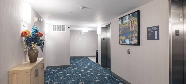 阿尔巴尼希尔顿花园酒店(Hilton Garden Inn Albany)图片