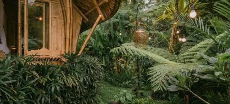 Arcada巴厘竹屋(Arcada Bali Bamboo House)图片