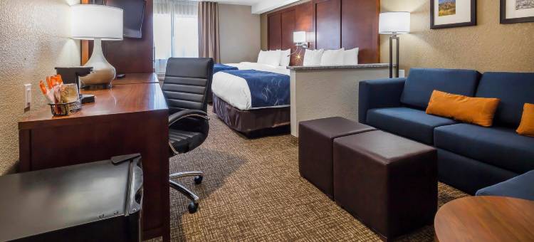 舒适套房酒店-埃尔帕索机场(Comfort Suites El Paso Airport)图片