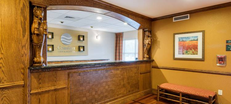 舒适套房酒店(Comfort Inn & Suites)图片