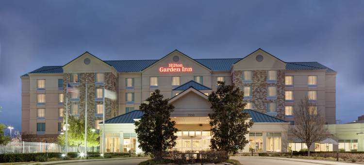 弗赖拉辛达拉斯希尔顿花园酒店(Hilton Garden Inn Dallas Frisco)图片