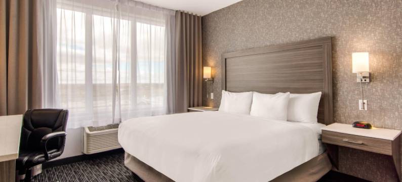 舒适套房酒店(Comfort Inn & Suites)图片