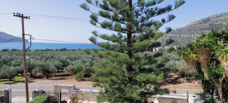 海边的Lithos(Lithos By The Sea)图片