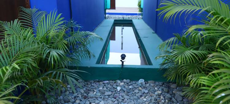 老虎滨水度假村(The Tiger Waterfront Resort)图片