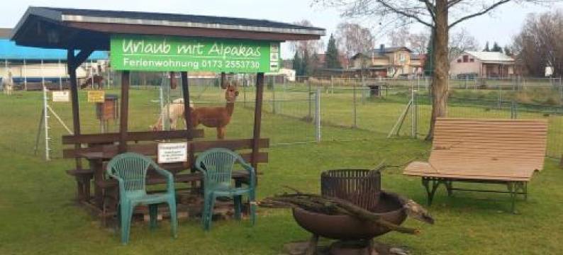 羊驼度假公寓(Urlaub Mit Alpakas)图片