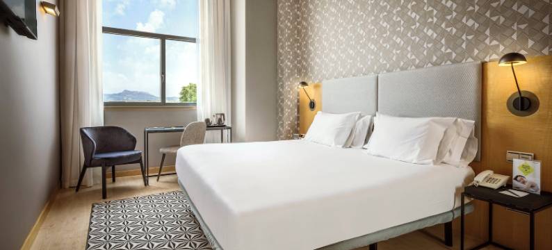 塞尔科蒂尔波塔莱斯酒店(Hotel Sercotel Portales)图片