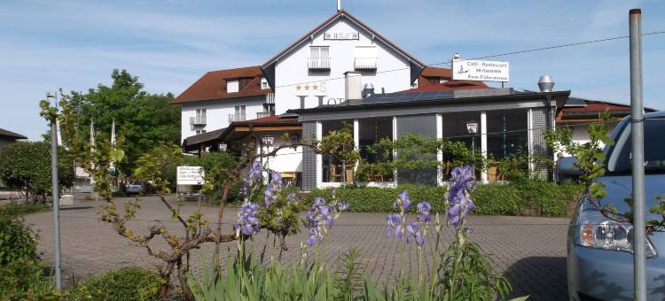 阿姆霍汗天高饭店(Tiptop Hotel am Hochrhein)图片