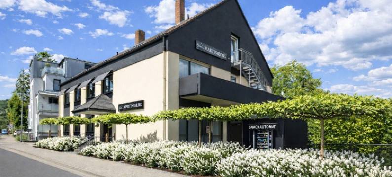 马丁斯贝格酒店(Hotel am Martinsberg)图片