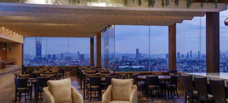 丽笙普埃布拉安赫洛波利斯(Hotel Radisson Puebla Angelopolis)图片