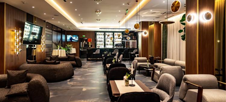 天空机场酒店(Sky Airport Hotel)图片