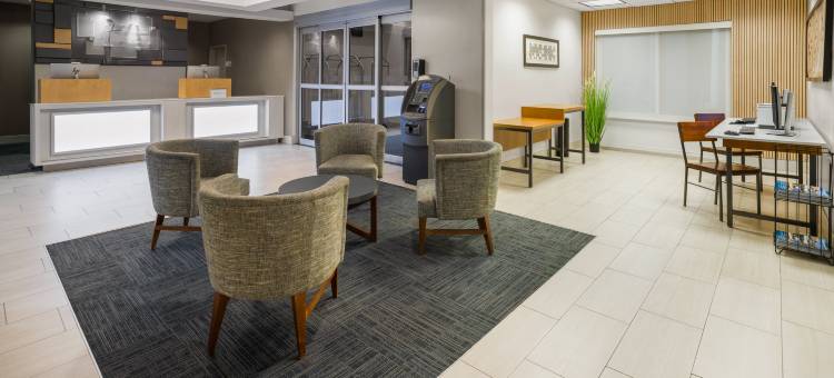 智选假日套房酒店新伊比利亚 - 艾利岛(Holiday Inn Express & Suites NEW IBERIA-AVERY ISLAND by IHG)图片