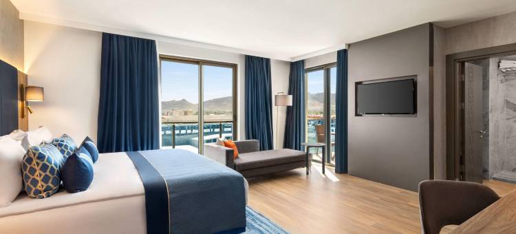 温德姆阿菲翁卡拉希萨温泉SPA酒店(Wyndham Afyonkarahisar Thermal&Spa)图片
