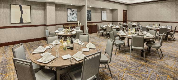 德卢斯喜来登酒店(Sheraton Duluth Hotel)图片