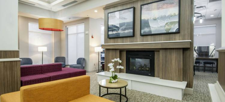 哈蒂斯堡希尔顿花园酒店(Hilton Garden Inn Hattiesburg)图片