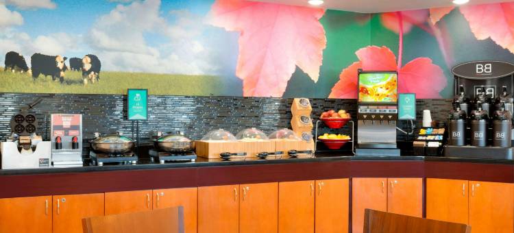 沃斯堡大学路万豪万枫酒店(Fairfield Inn & Suites Fort Worth University Drive)图片