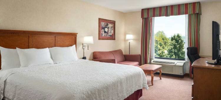 希尔顿欢朋酒店-贝勒弗农(Hampton Inn Belle Vernon)图片