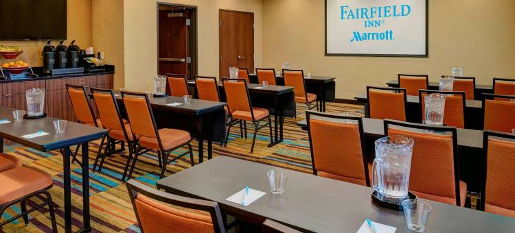 底特律特洛伊万枫酒店及套房(Fairfield Inn & Suites Detroit Troy)图片